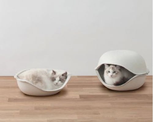 Cat Shell by Oppo